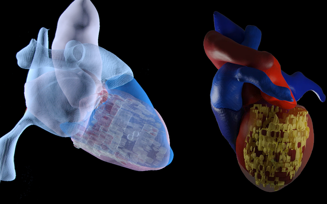 January 2022 – Launch of HEARTS project